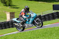 cadwell-no-limits-trackday;cadwell-park;cadwell-park-photographs;cadwell-trackday-photographs;enduro-digital-images;event-digital-images;eventdigitalimages;no-limits-trackdays;peter-wileman-photography;racing-digital-images;trackday-digital-images;trackday-photos